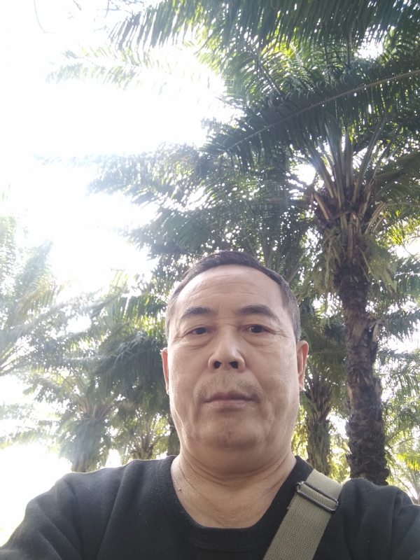 重振雄风的第二张照片--泉州相亲网