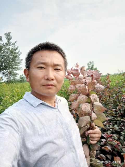 孩子爸的第二张照片--泉州相亲网