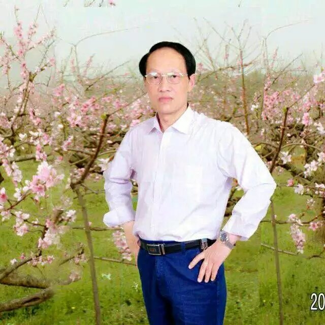 枫叶的第一张照片--泉州相亲网